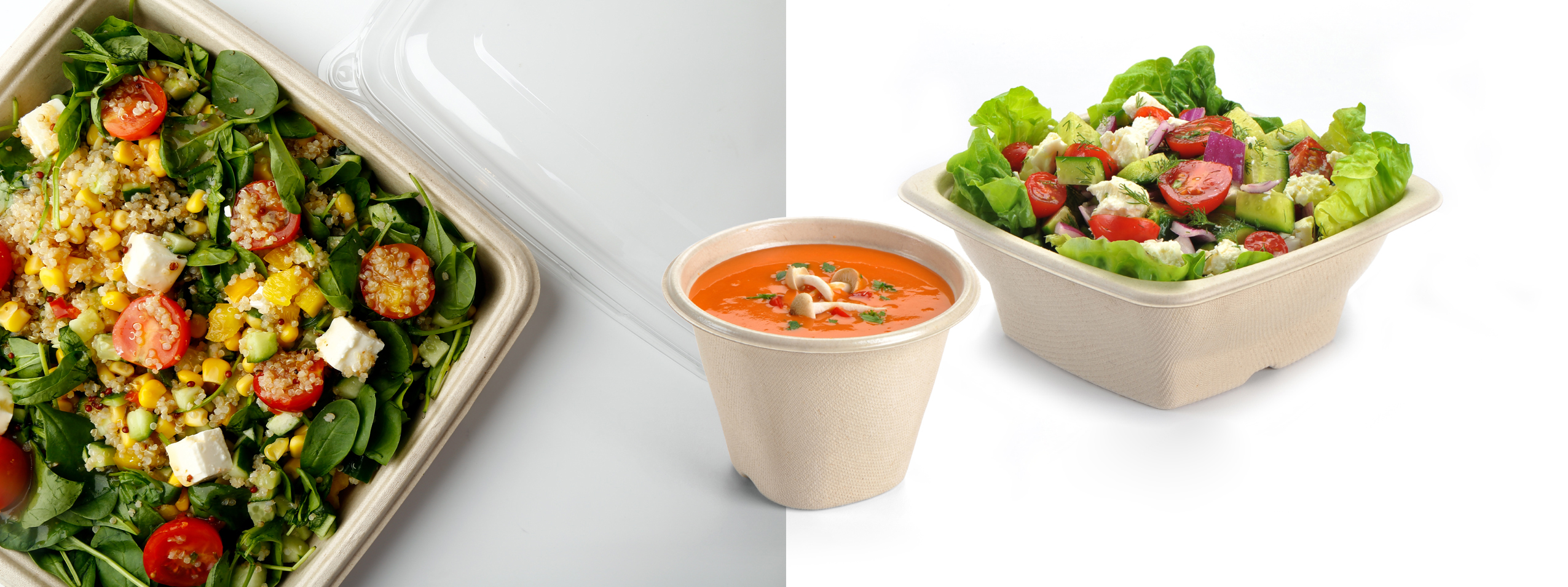 Panache International UAE Pulp Products Collection Pulp products distributors in United Arab Emirates